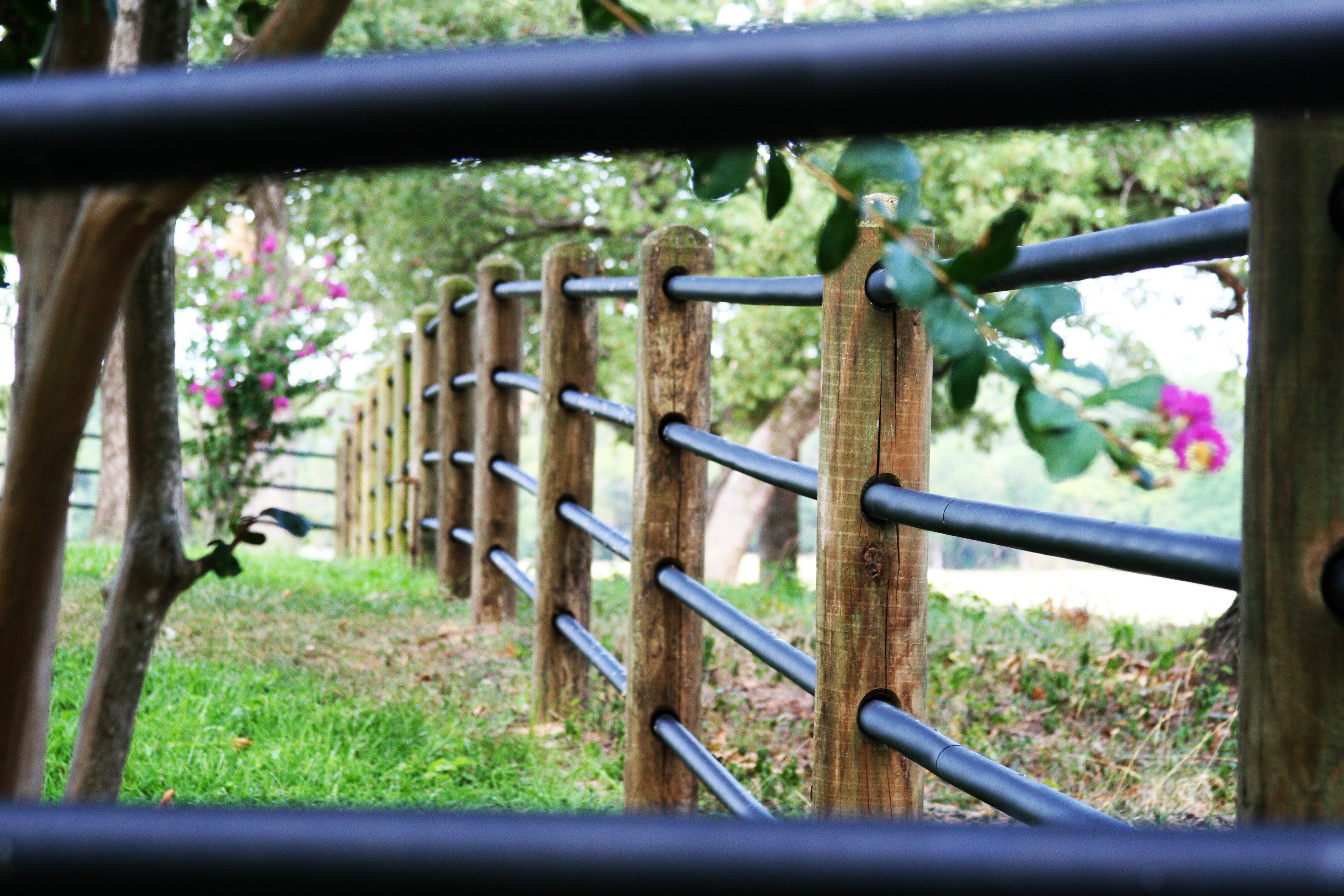 Ponderosa 4 Rail Priefert2.jpg